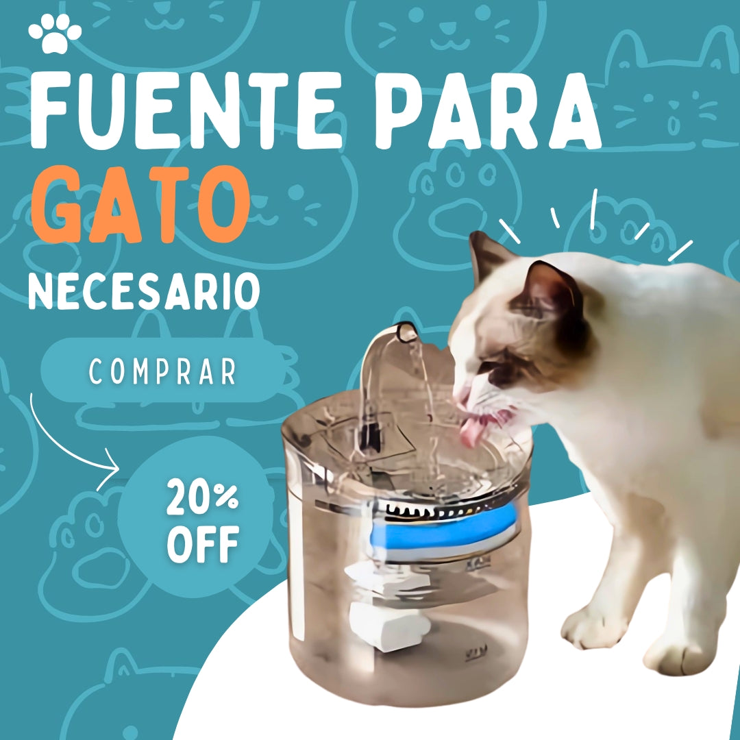 Bebedero para Gato