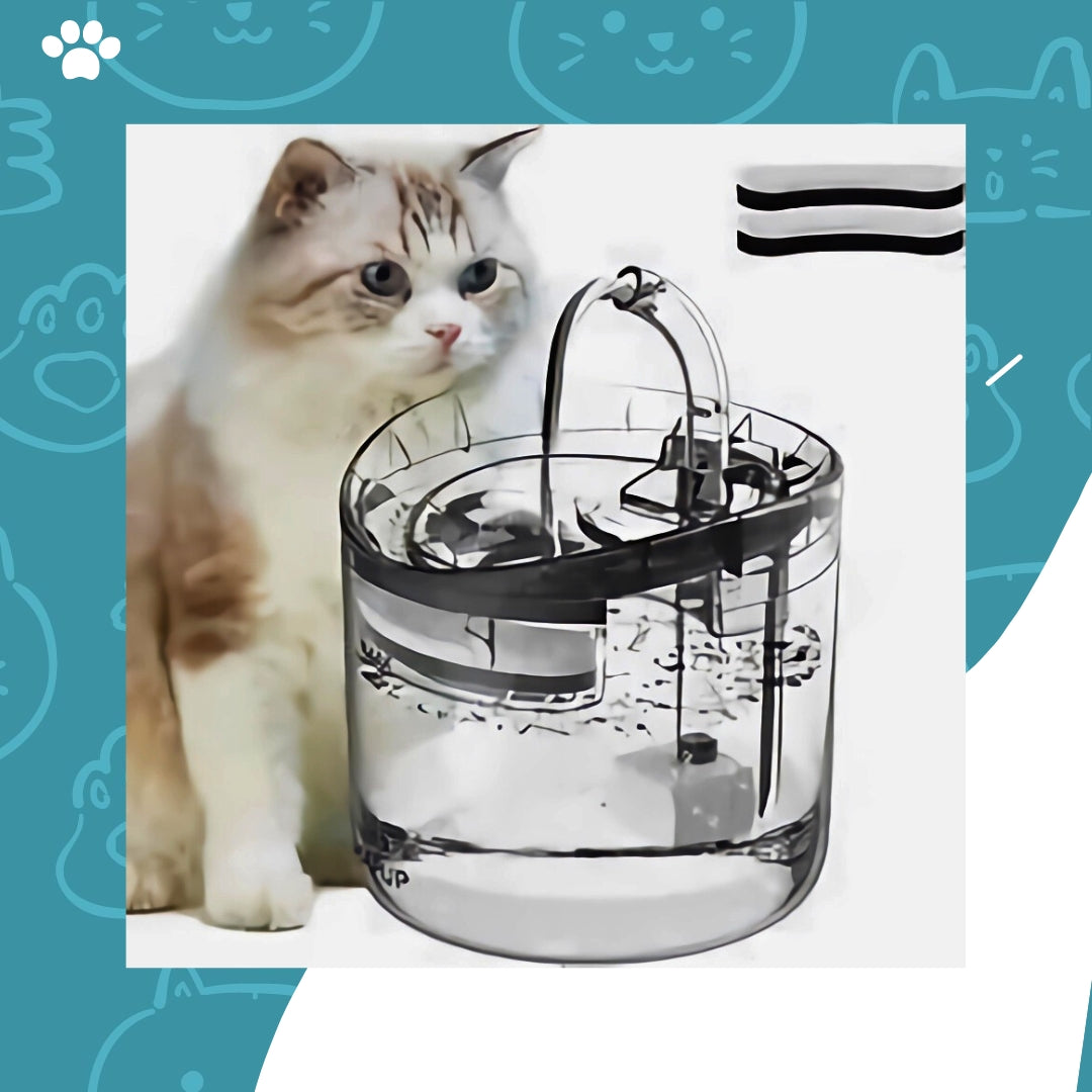 Bebedero para Gato