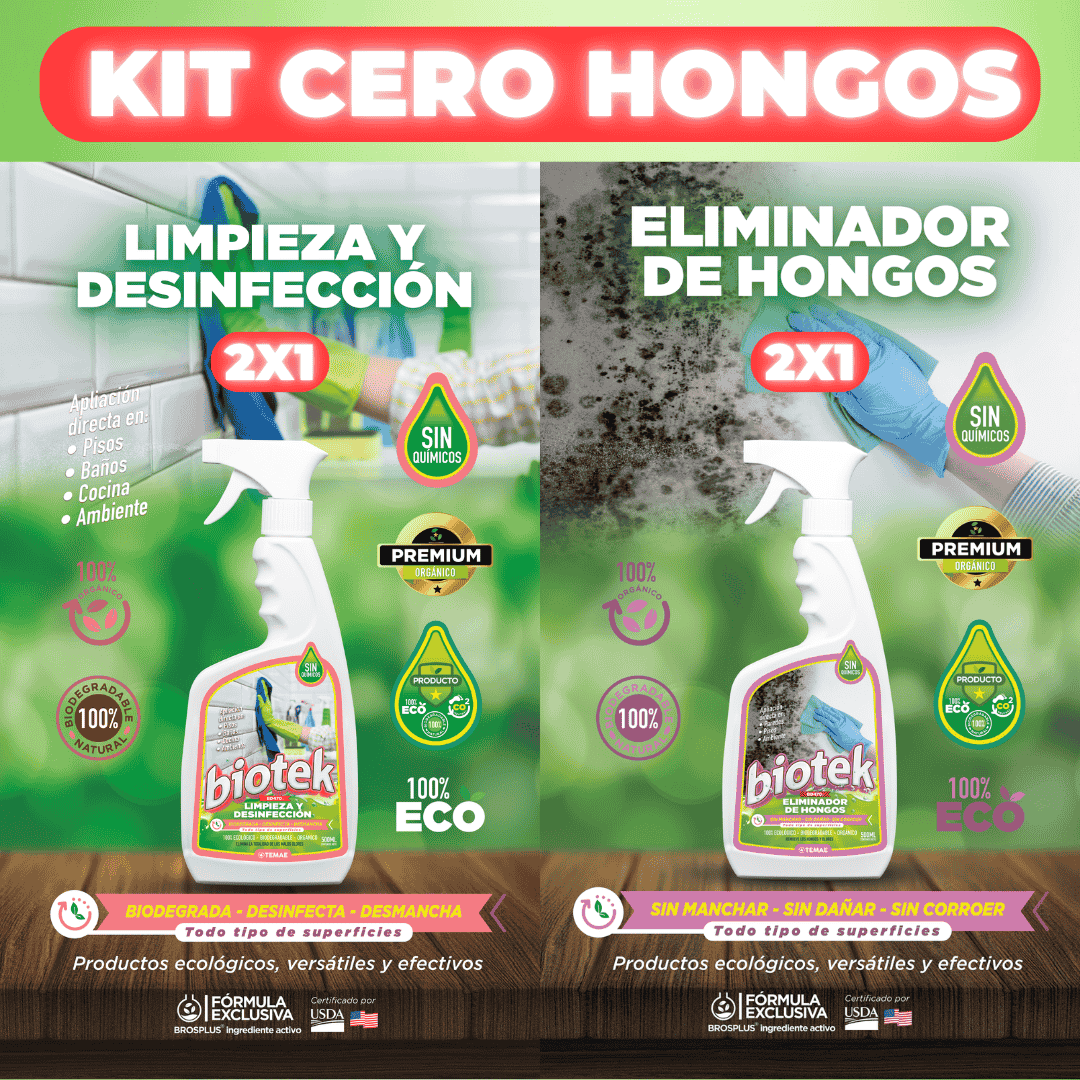 💫 RENUEVA TU HOGAR EN 2025: DI ADIÓS A LOS HONGOS Y MALOS OLORES 💫