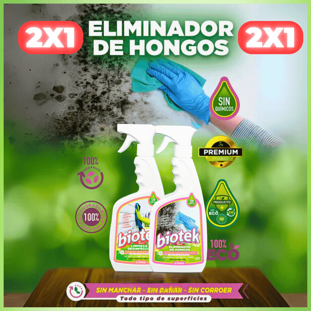 💫 RENUEVA TU HOGAR EN 2025: DI ADIÓS A LOS HONGOS Y MALOS OLORES 💫