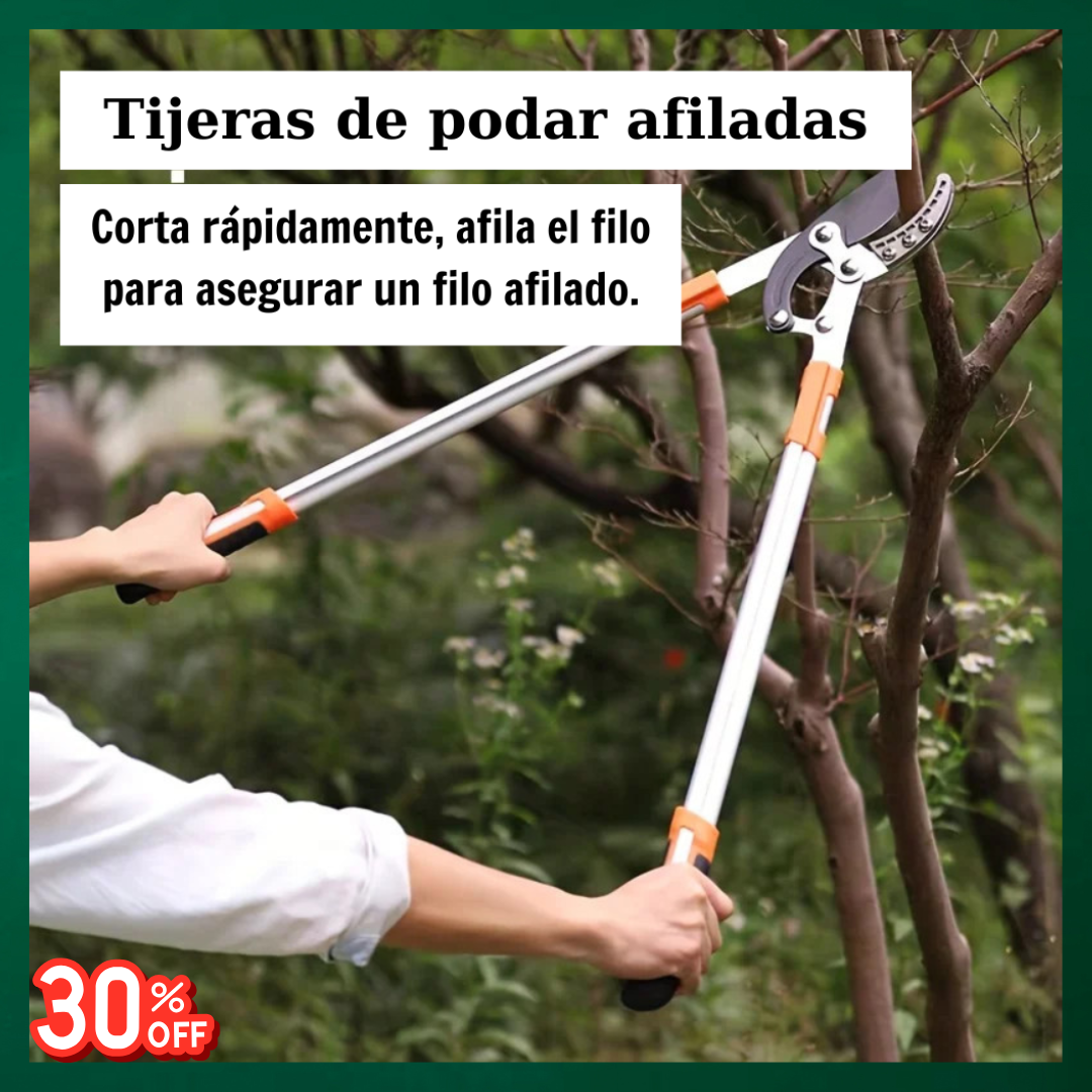 ¡NO PIERDAS MÁS TIEMPO NI RIESGOS! 🚨 TRANSFORMA TU JARDÍN CON CAMPOSEGURO AHORA 💥